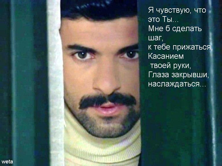 Мустафа Булут.jpg