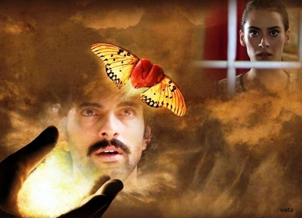 сердце.jpg