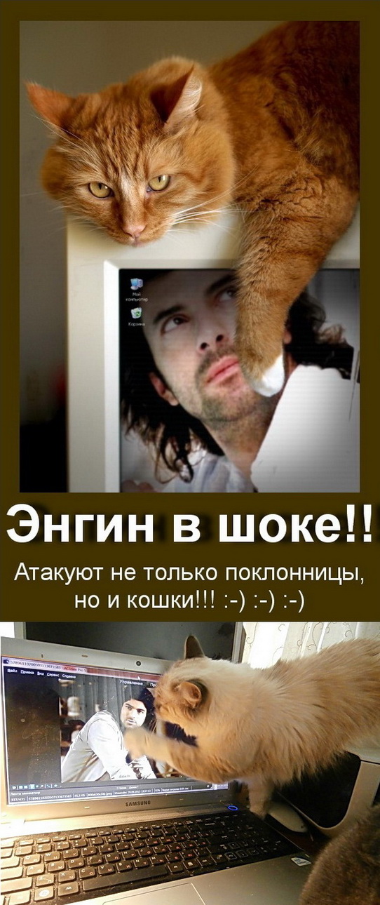 Энгин в шоке!.jpg