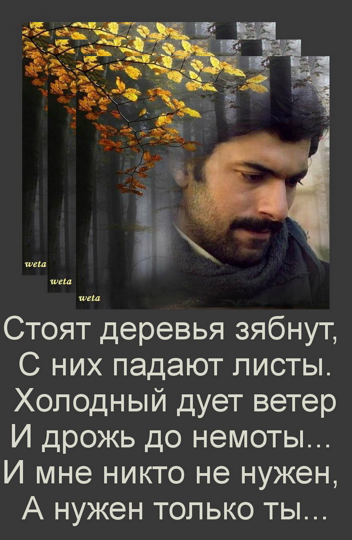 Мустик.jpg