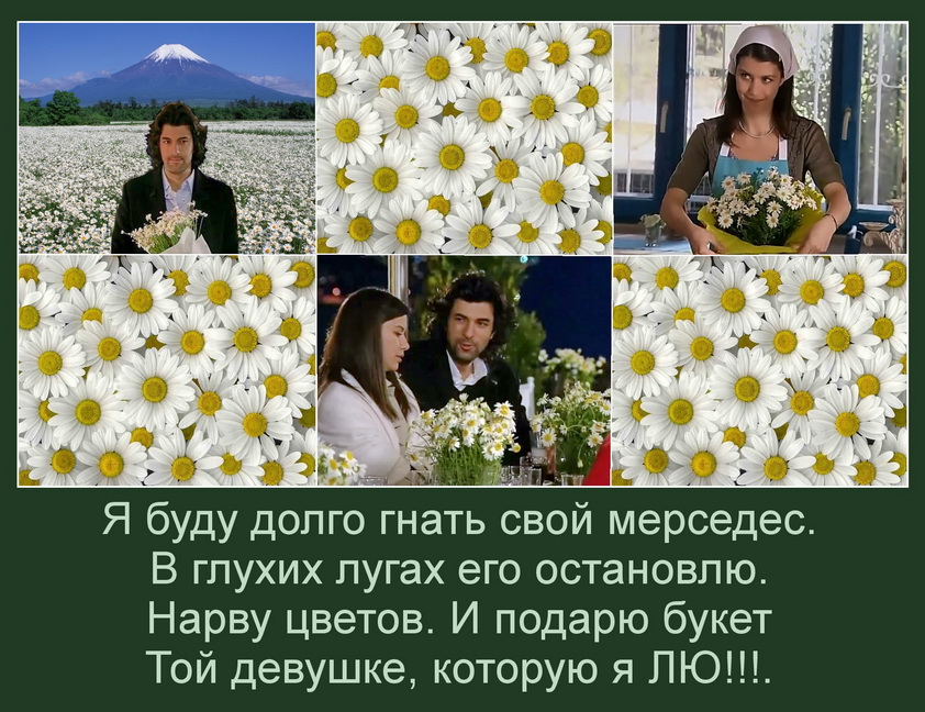Ромашки для....jpg