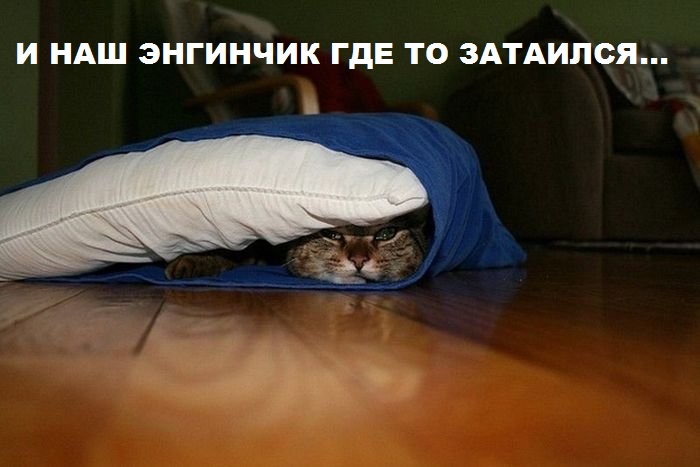 1369427438_koshachi-pryatki-11.jpg