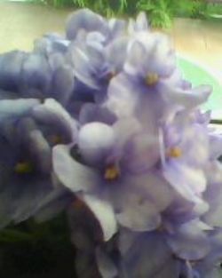 IMG0058A.jpg