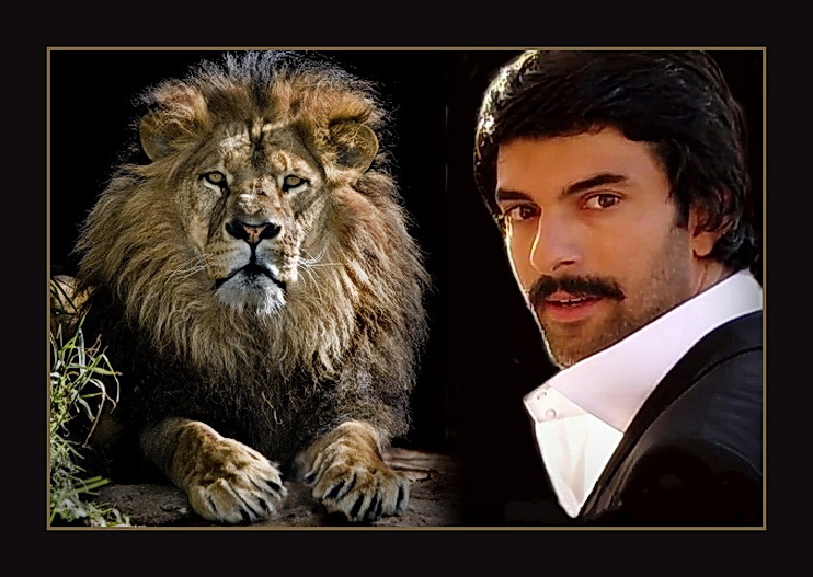 Aslan.jpg