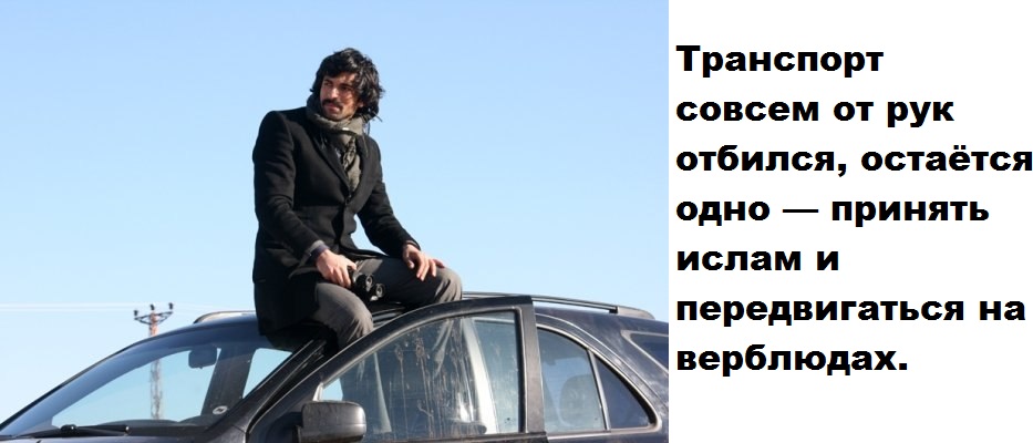 IArljlLvdLk.jpg