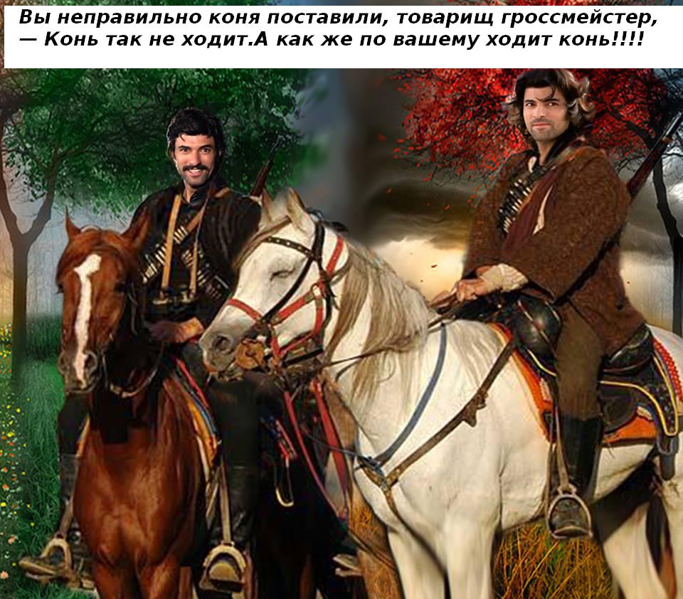 кони с текстом.JPG