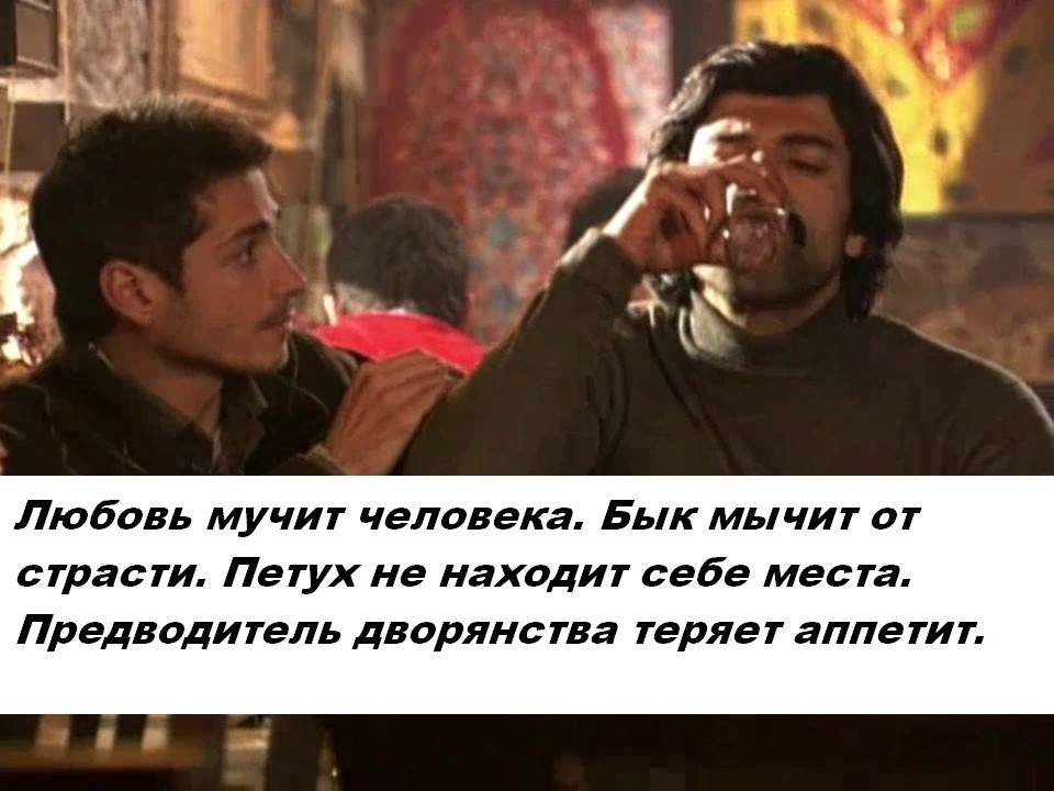 остап19 с текстом.JPG