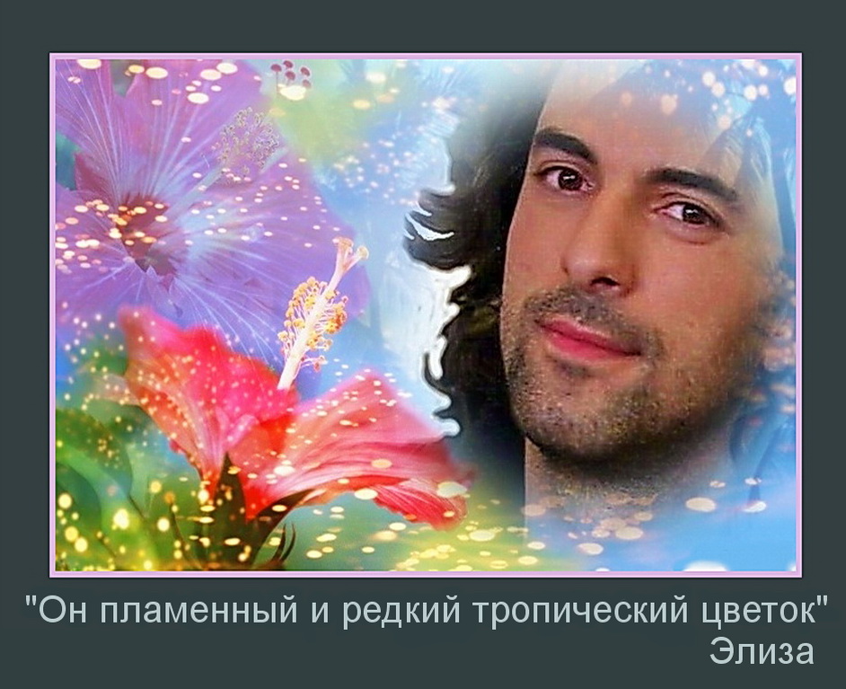 Он пламенный и редкий тропический цветок.jpg